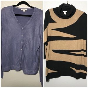 Carolyn Taylor cardigan and Chico’s zebra print 01